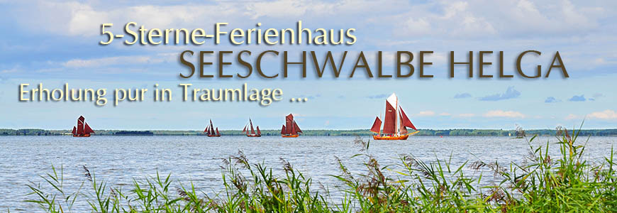 Ferienhaus Seeschwalbe Helga